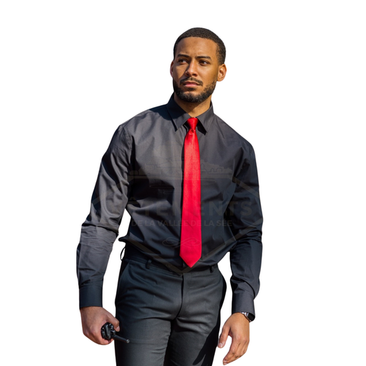 CHEMISE POPELINE - coupe ajustée VVS